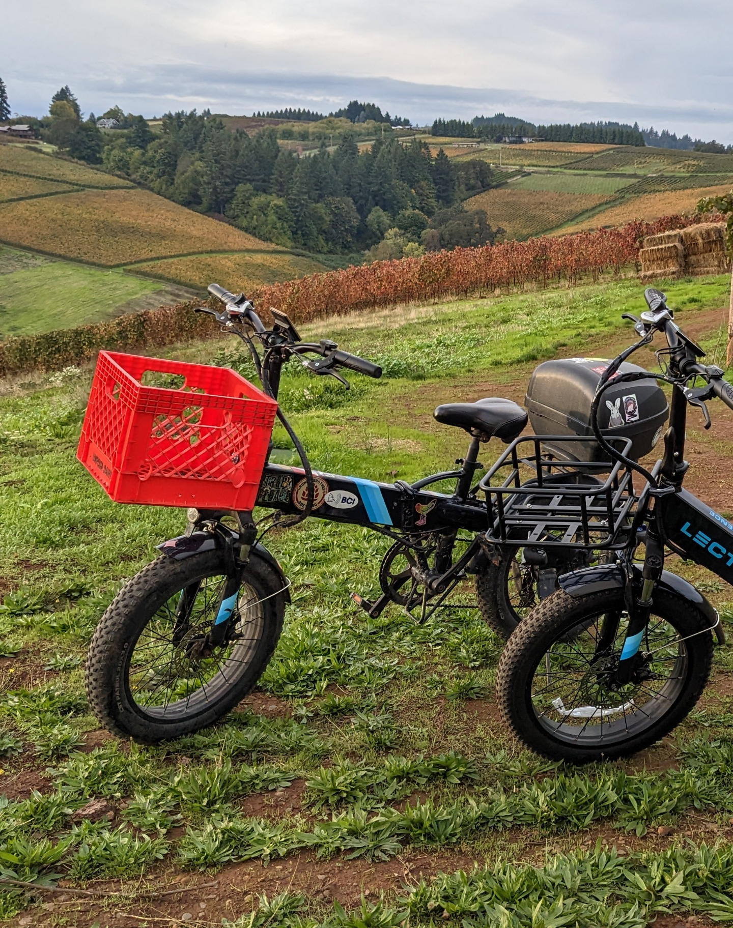 2022 Lectric eBikes XP 2.0 Black