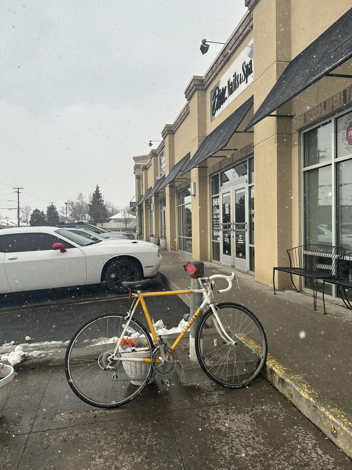 Centurion Yellow or Gold