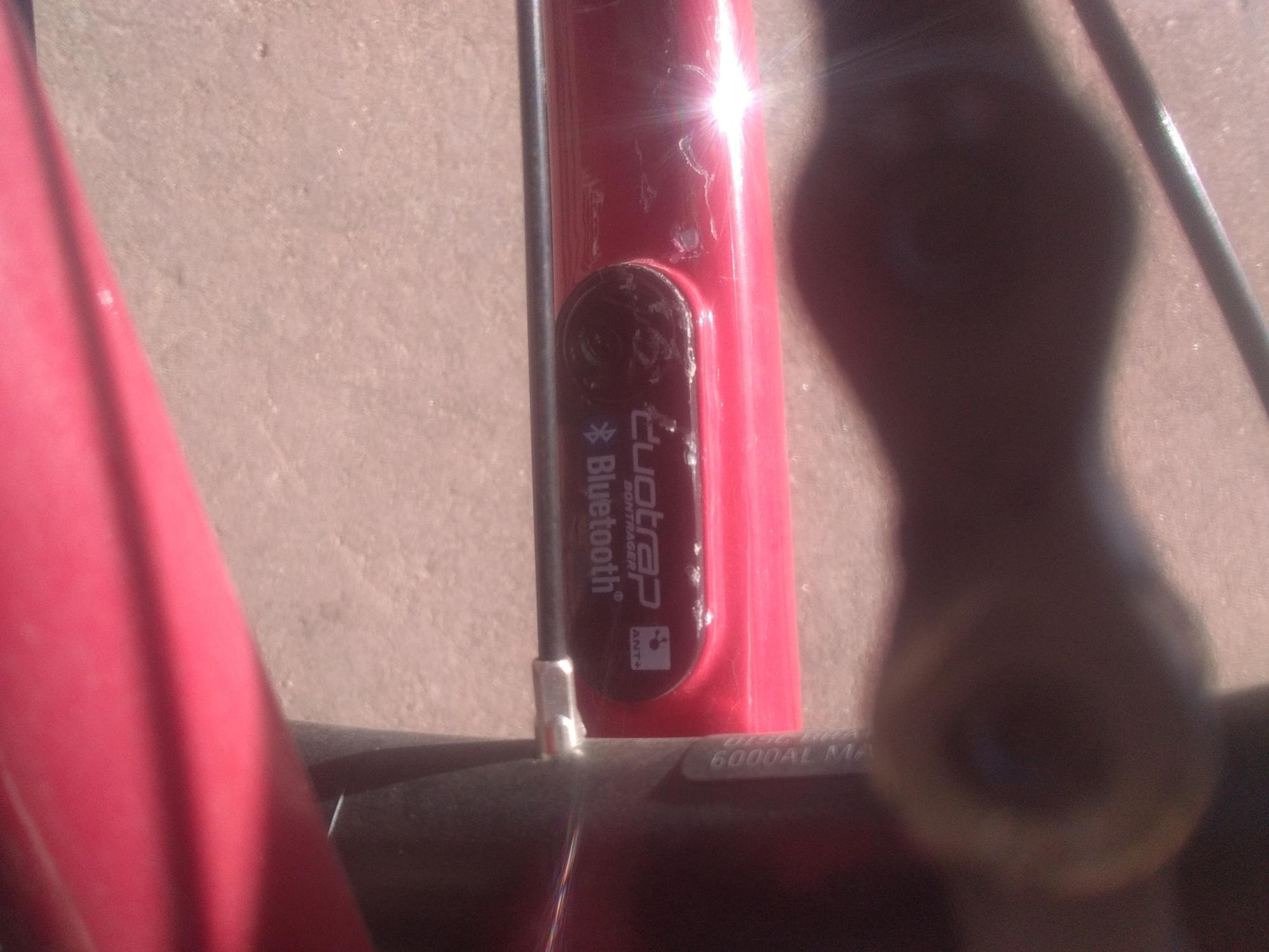 Trek Red