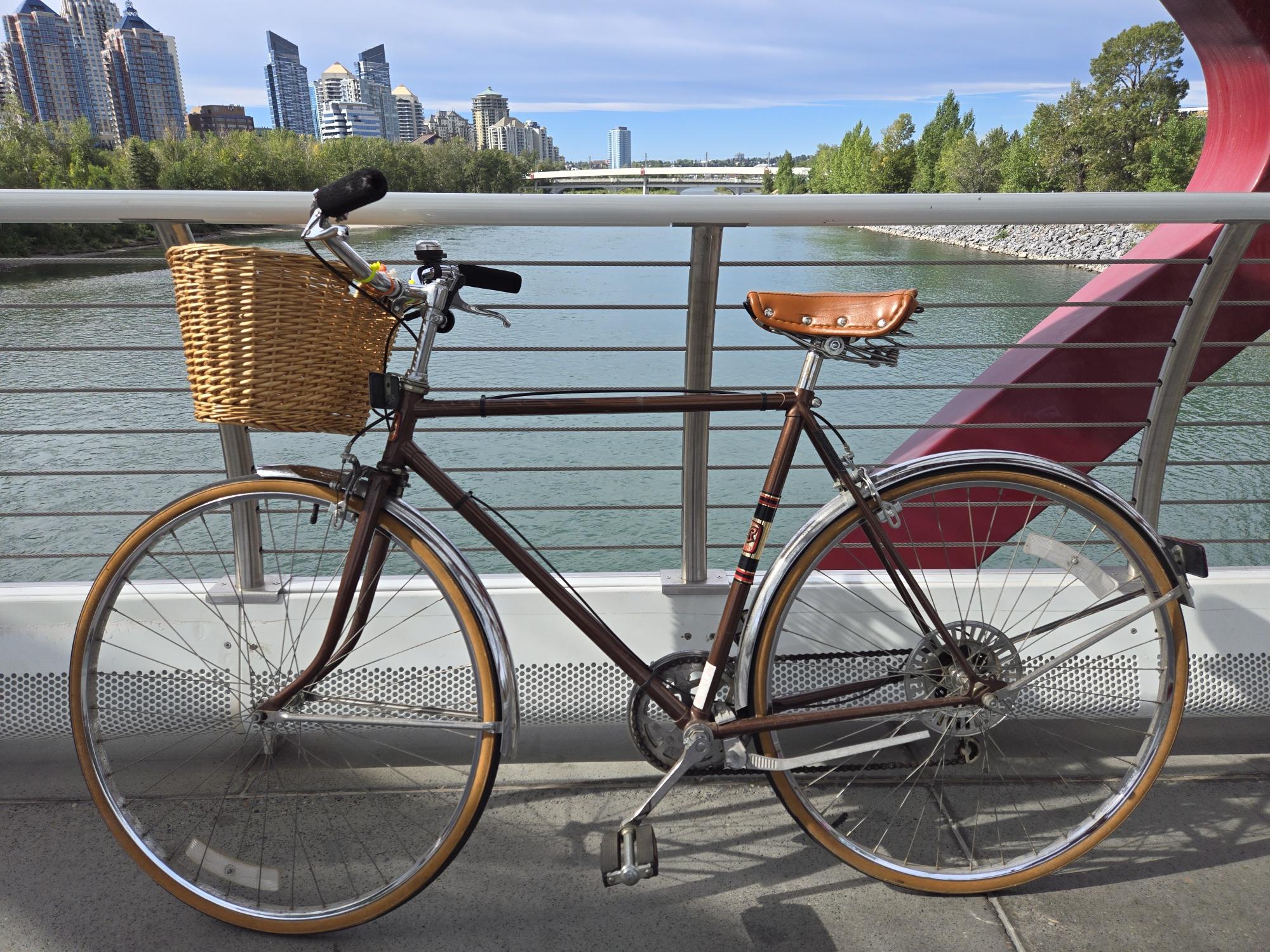 Mercury Vintage Mercury Brown