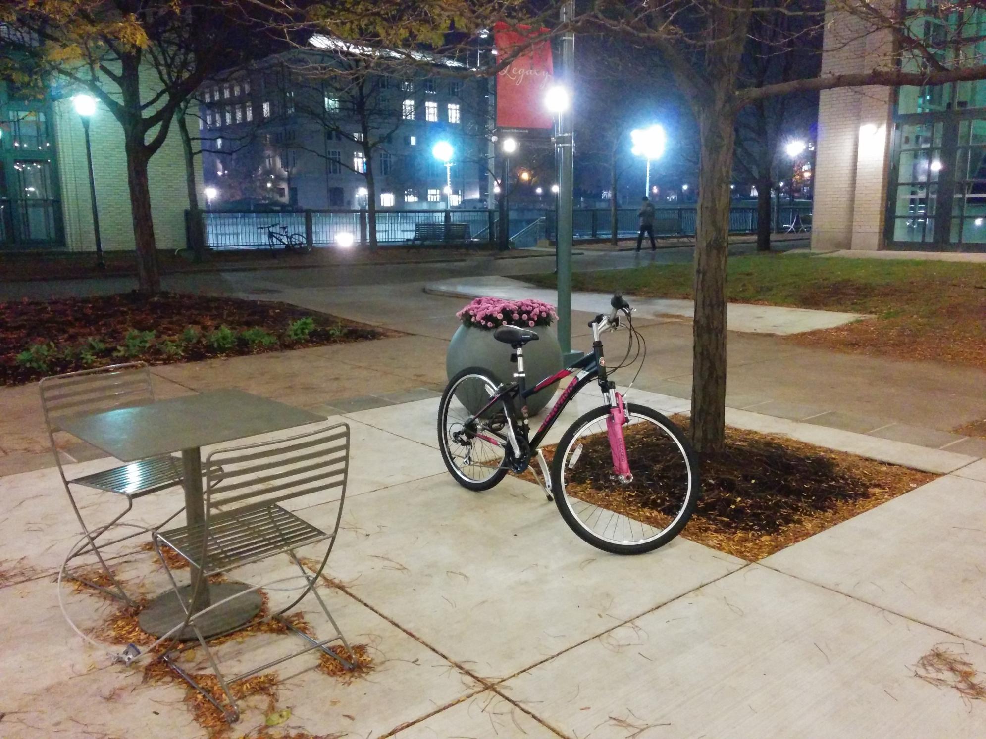 Schwinn S2601WMLDB Black and Pink