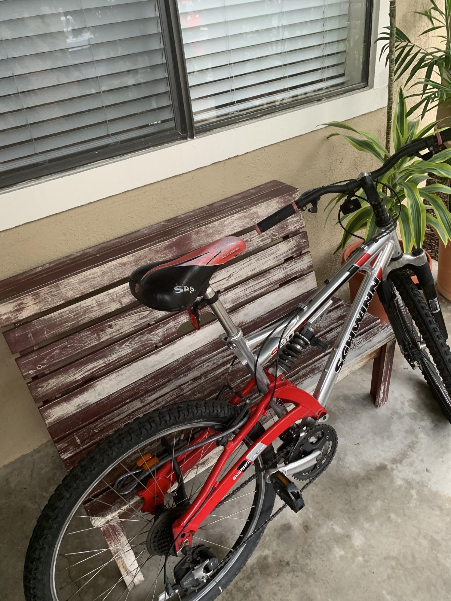 2007 Schwinn Silver, gray or bare metal and Red