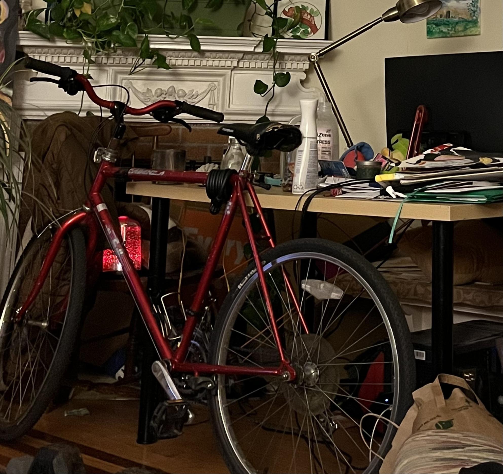 1985 Fuji Mountain Red