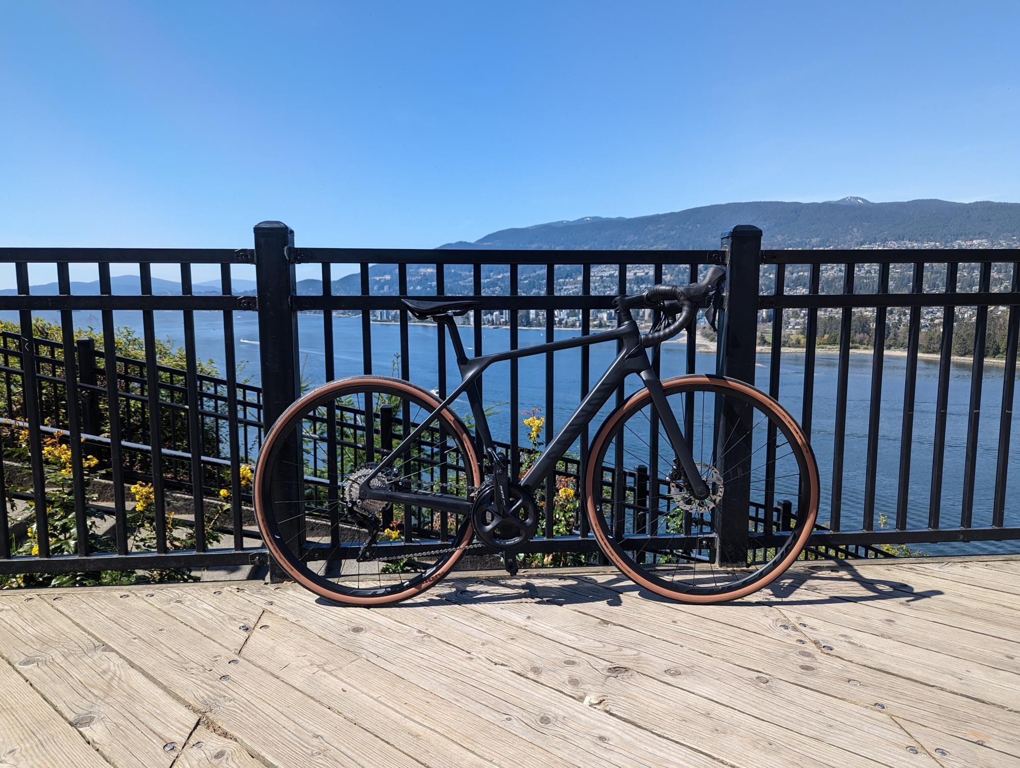 2023 Canyon bicycles Endurace Black