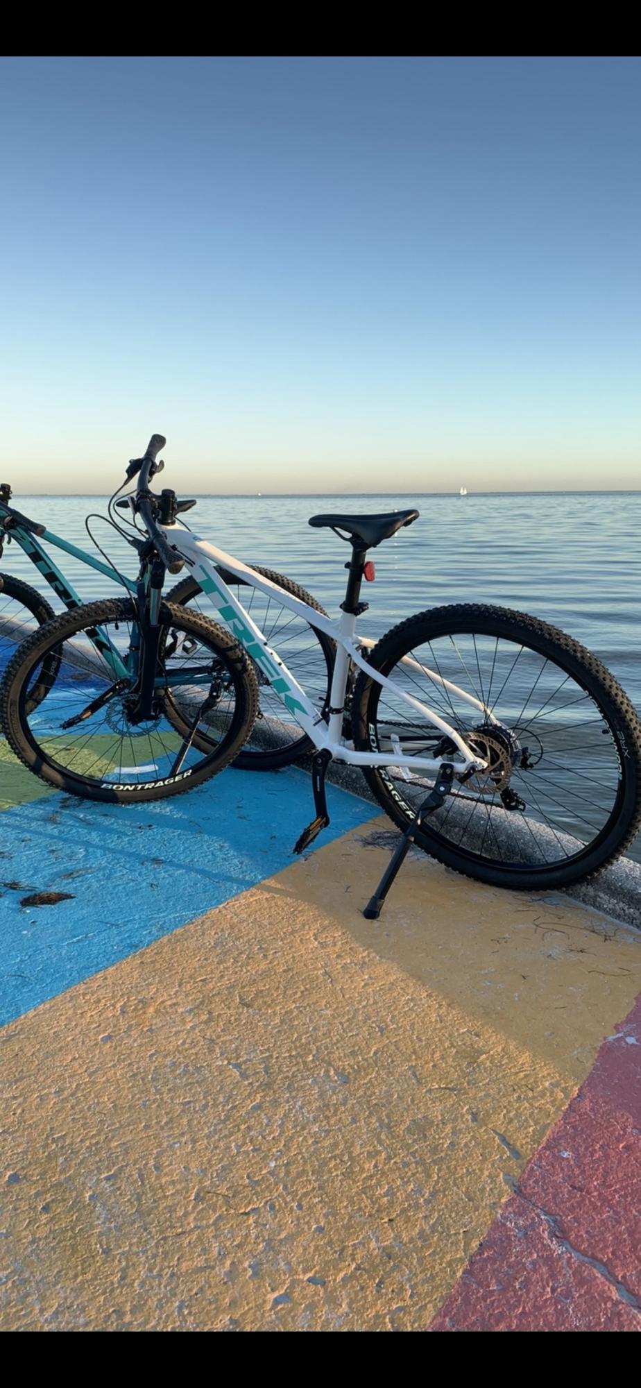 2020 Trek Marlin 5 White