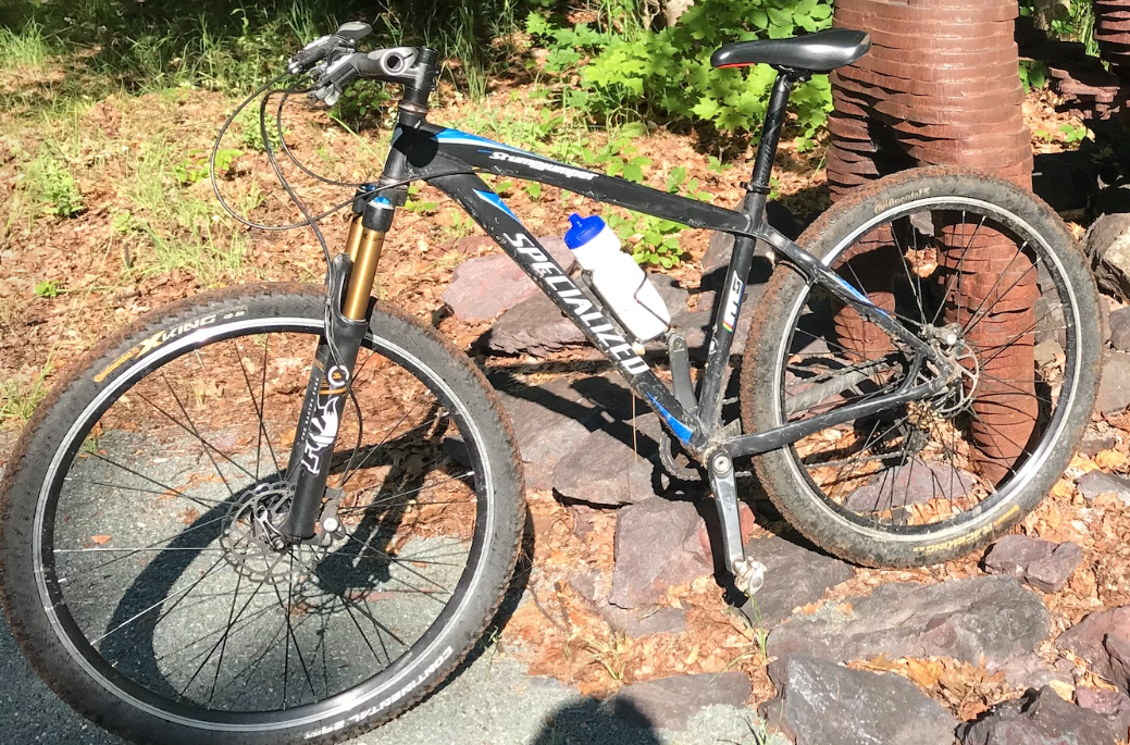 Specialized Stumpjumper Black