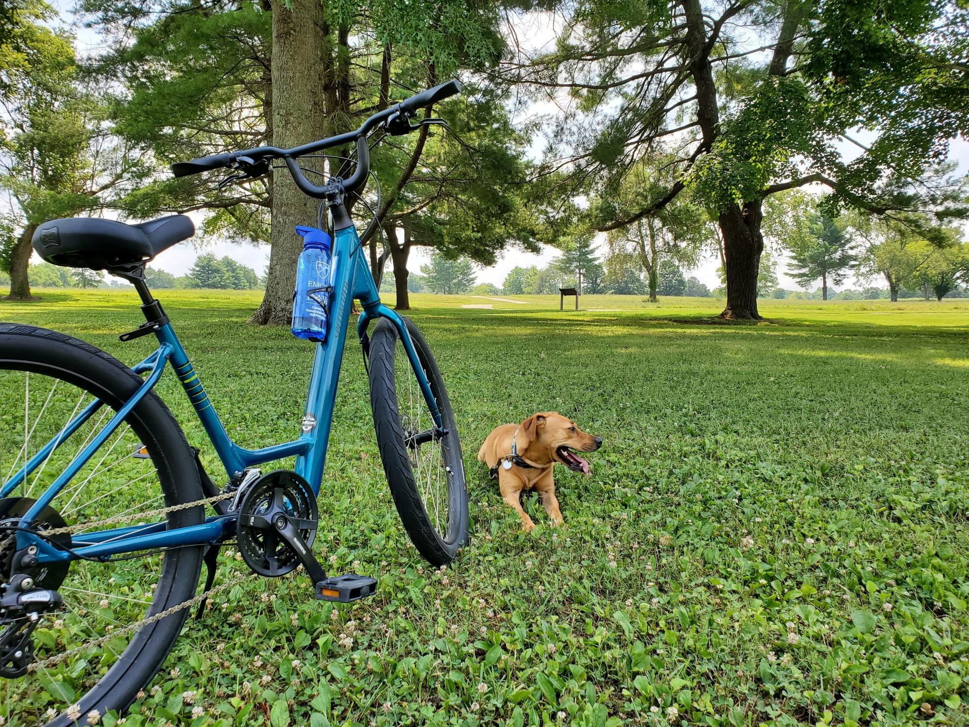 2020 Specialized Roll Sport Teal
