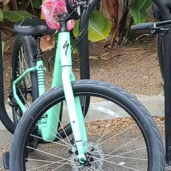 Roll Bicycle Company Sport Low Teal