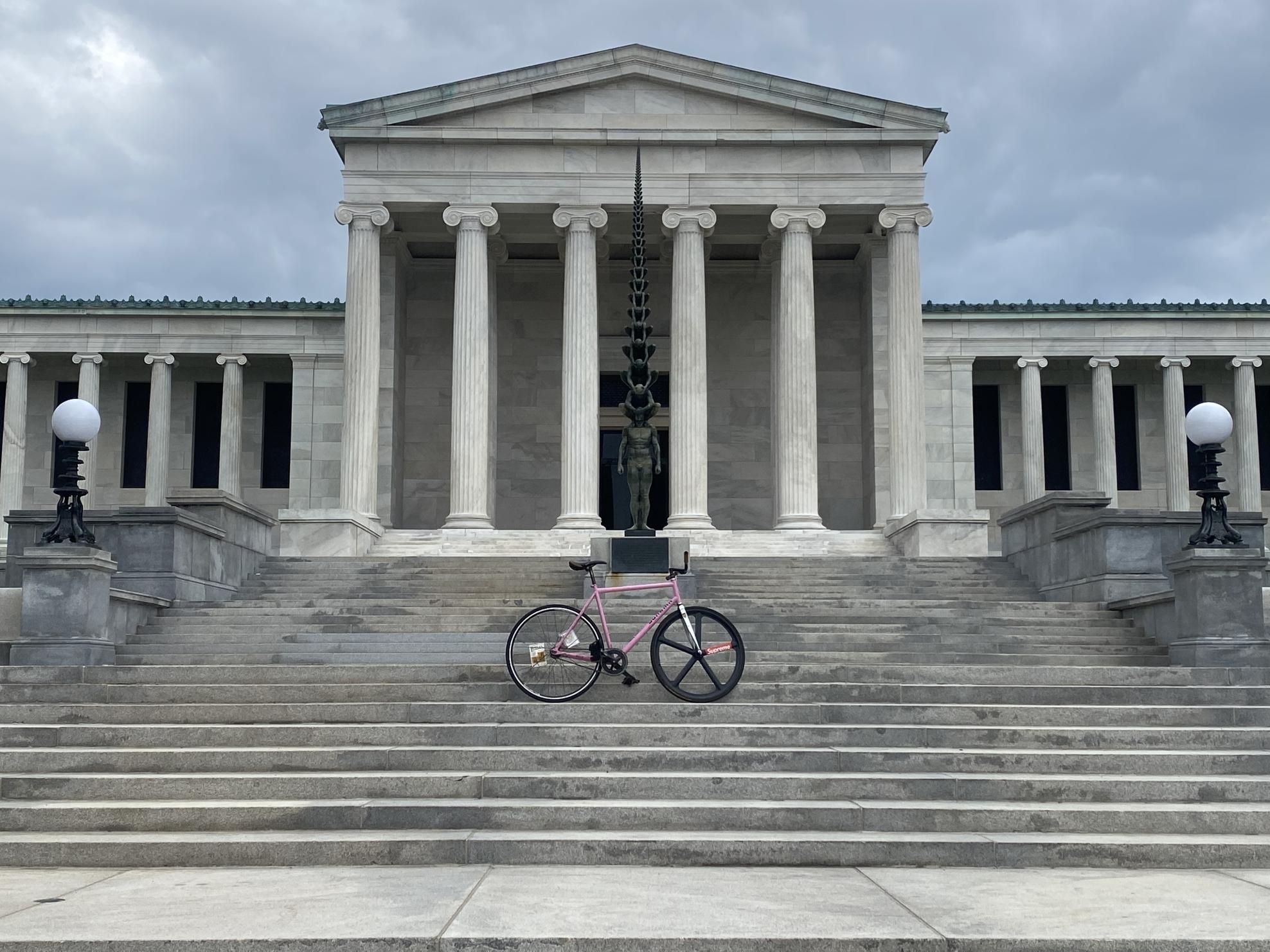 2010 Schwinn Racer Pink