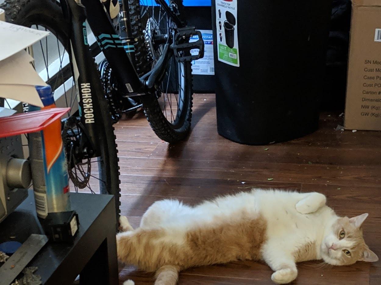 2015 Giant Black and Blue