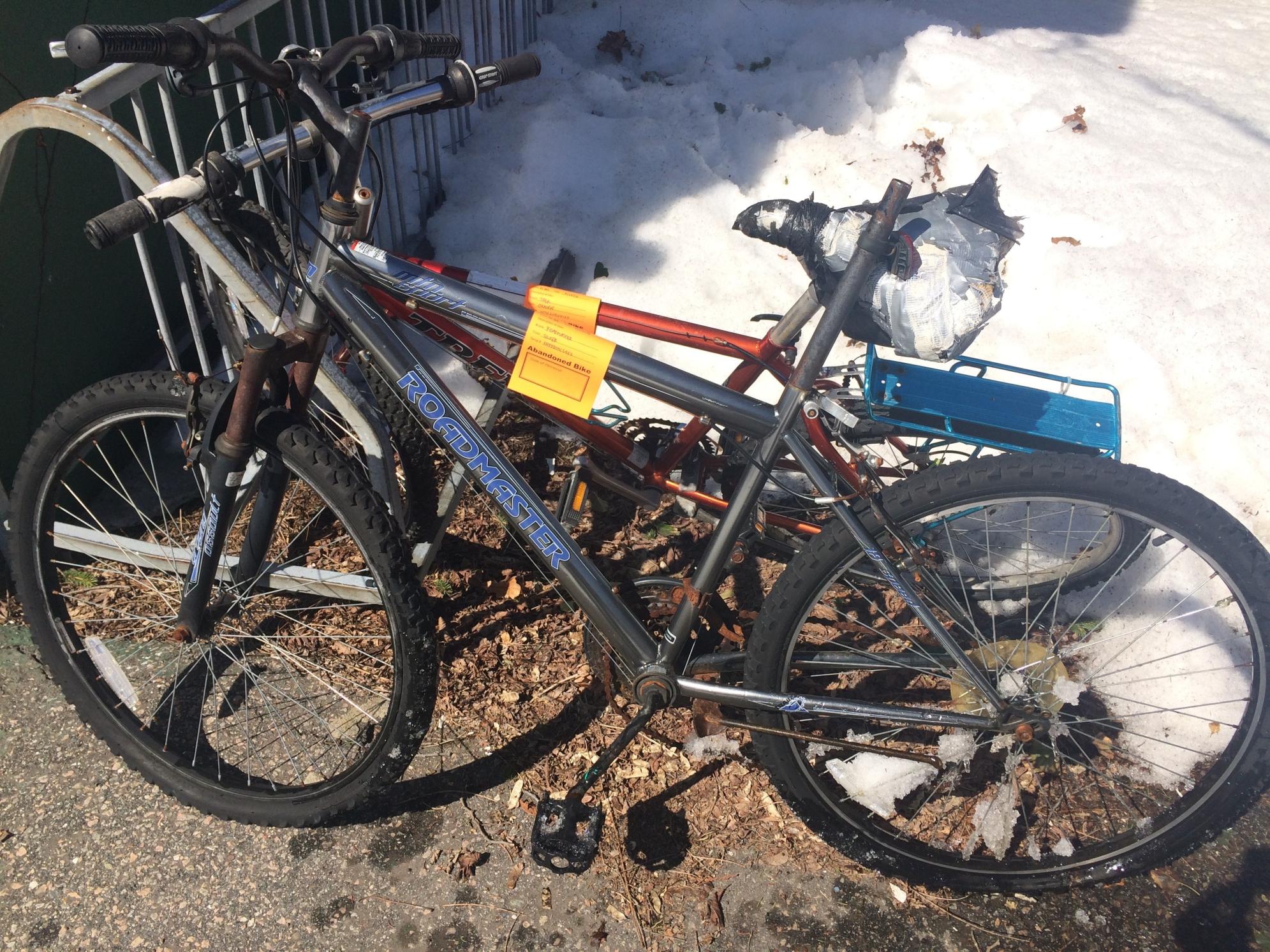 Roadmaster  Silver or Gray