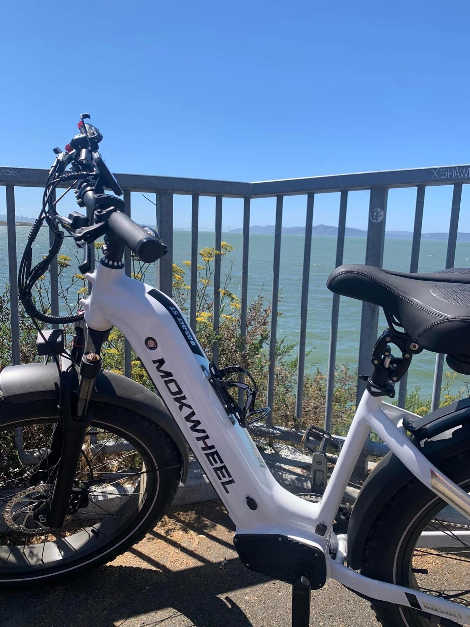 2024 Mok Wheel Basalt ST White