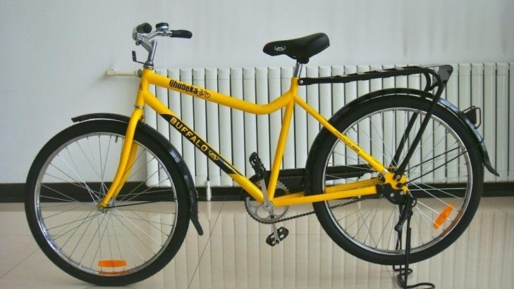 Qhubeka  Yellow or Gold and Black