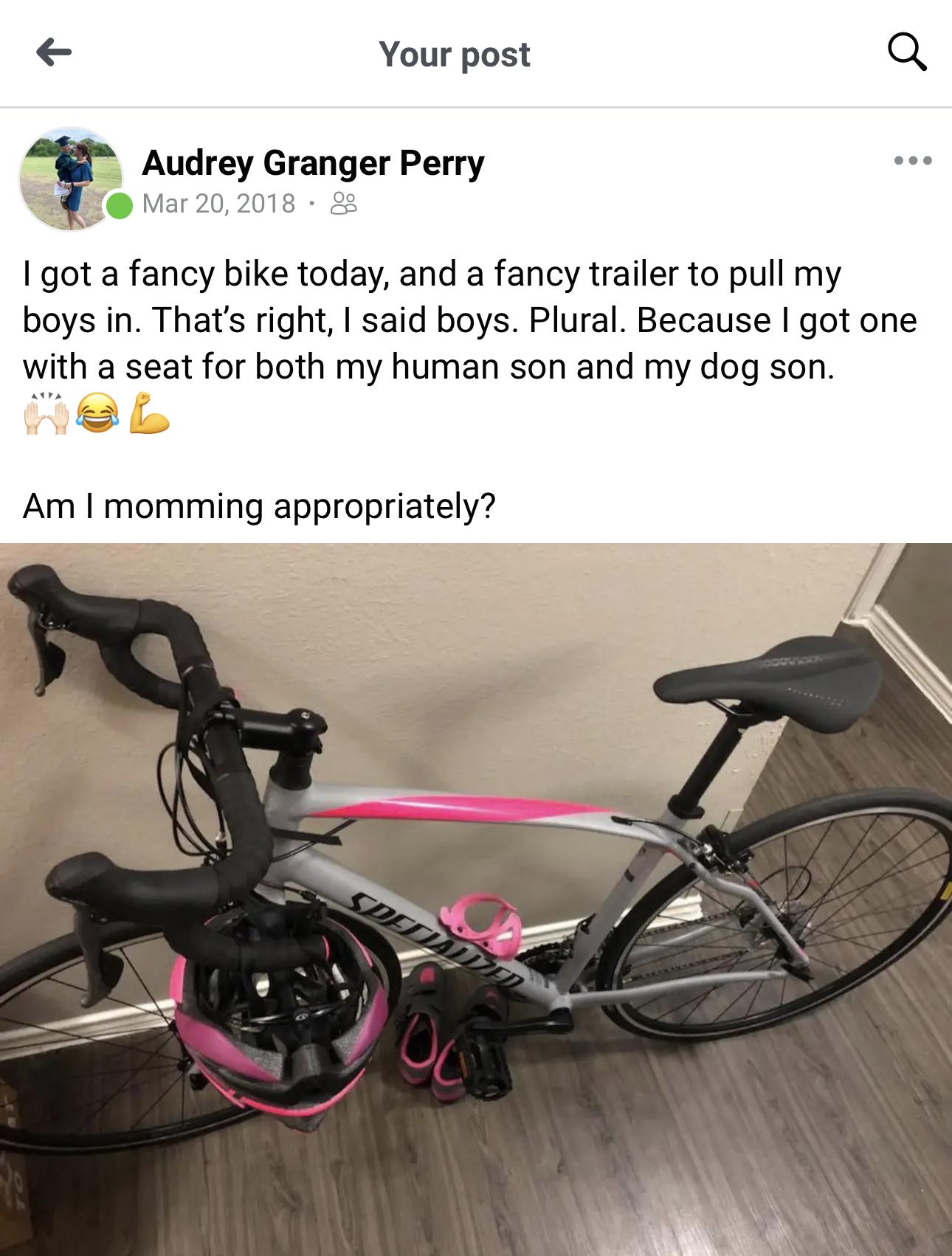 2018 Specialized Dulce Silver, gray or bare metal and Pink