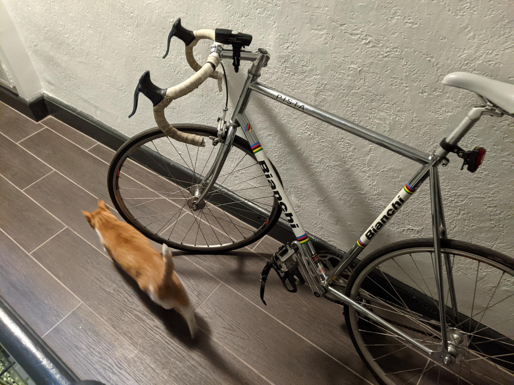 2007 Bianchi Pista Silver, gray or bare metal