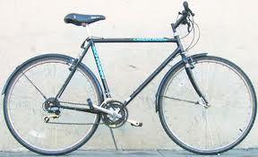Schwinn Criss Cross  Black
