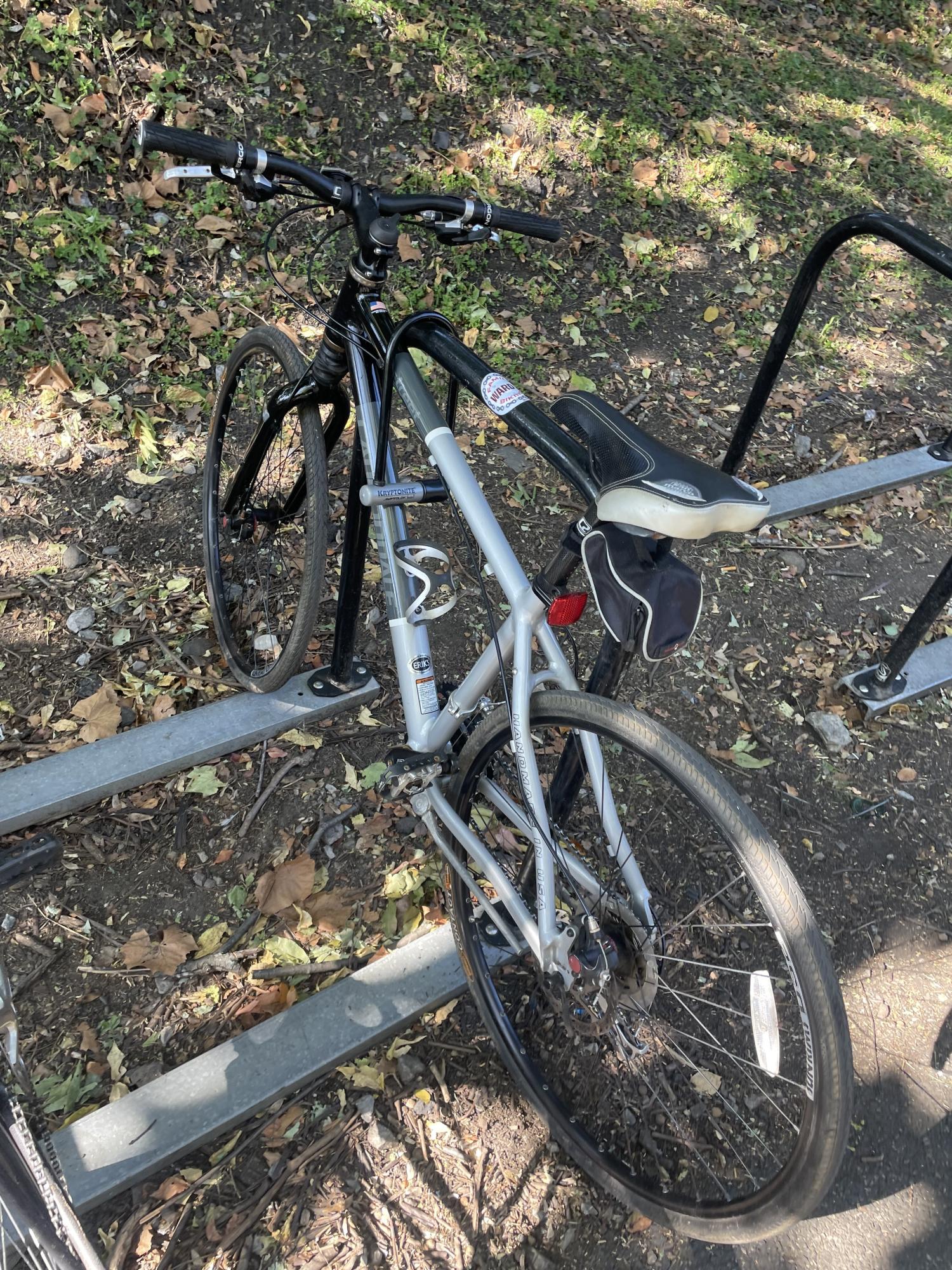 Cannondale Street 20 Boy's Silver, gray or bare metal