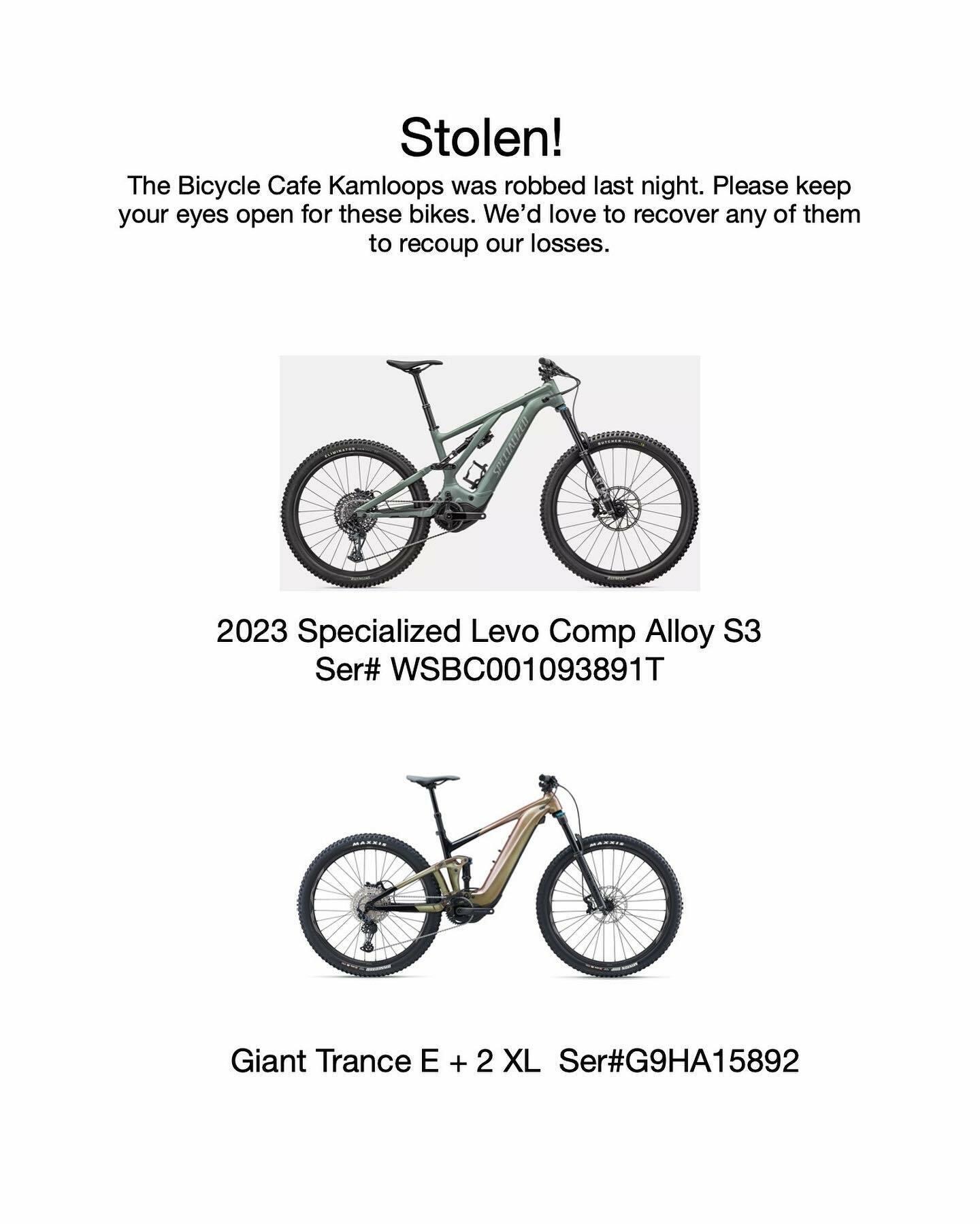 2023 Specialized Levo Comp Alloy Green