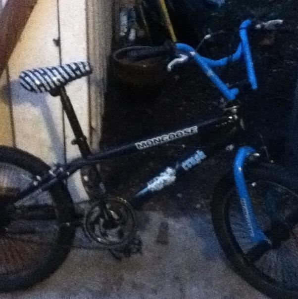Unknown Mongoose  Black