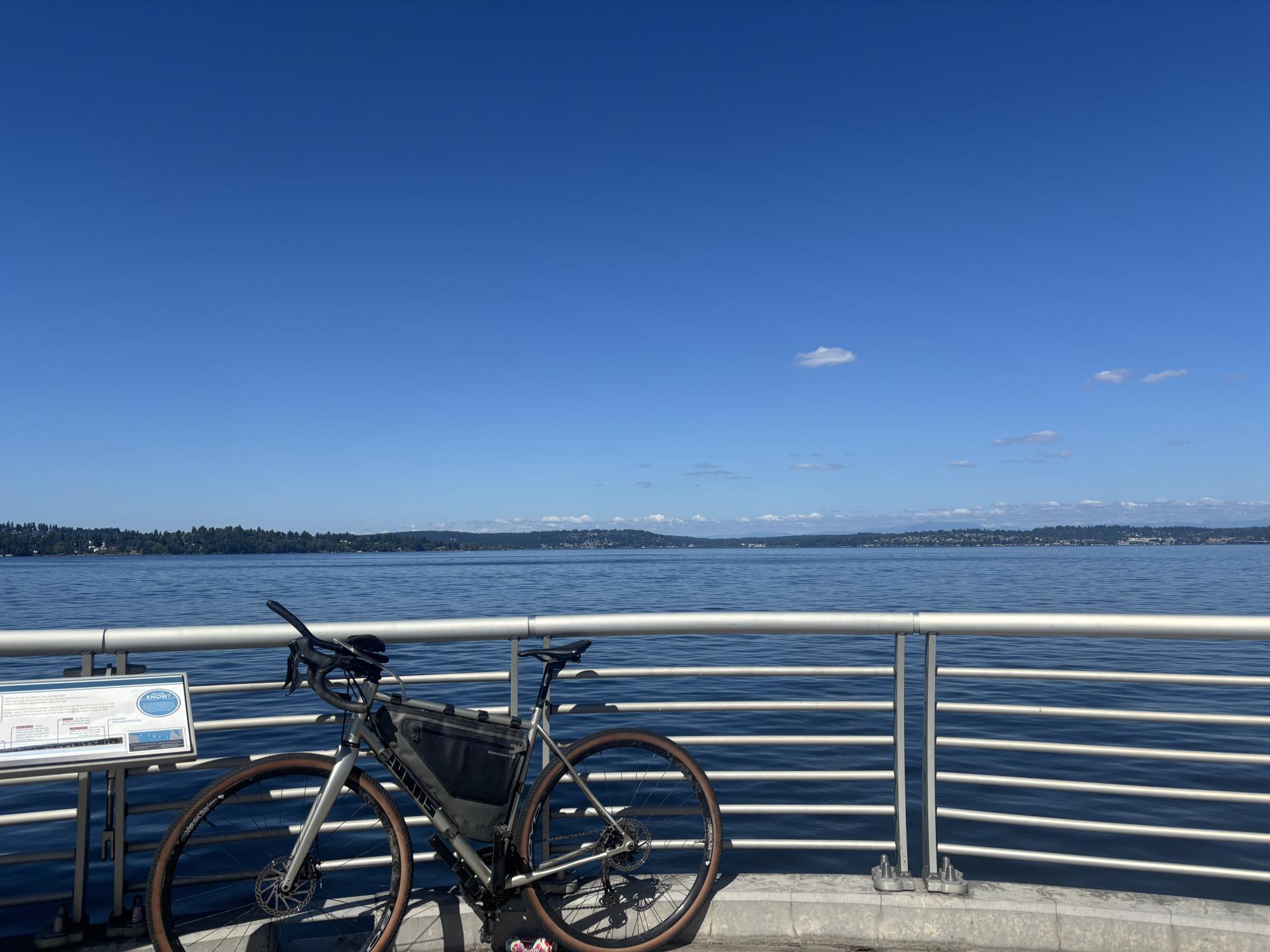 2025 Zukas Frame Custom Yellow or Gold