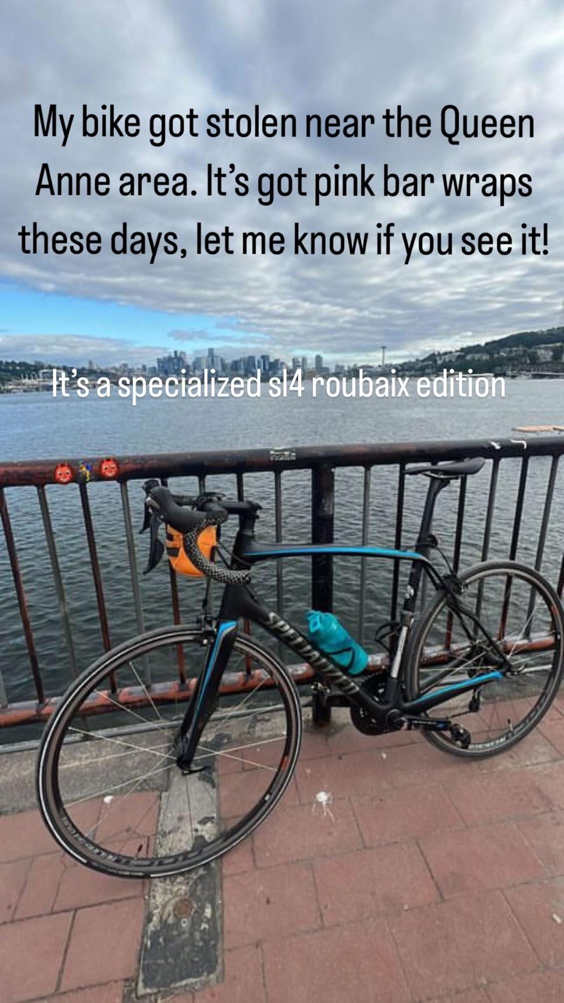 2022 Specialized SL-4 Black and Blue