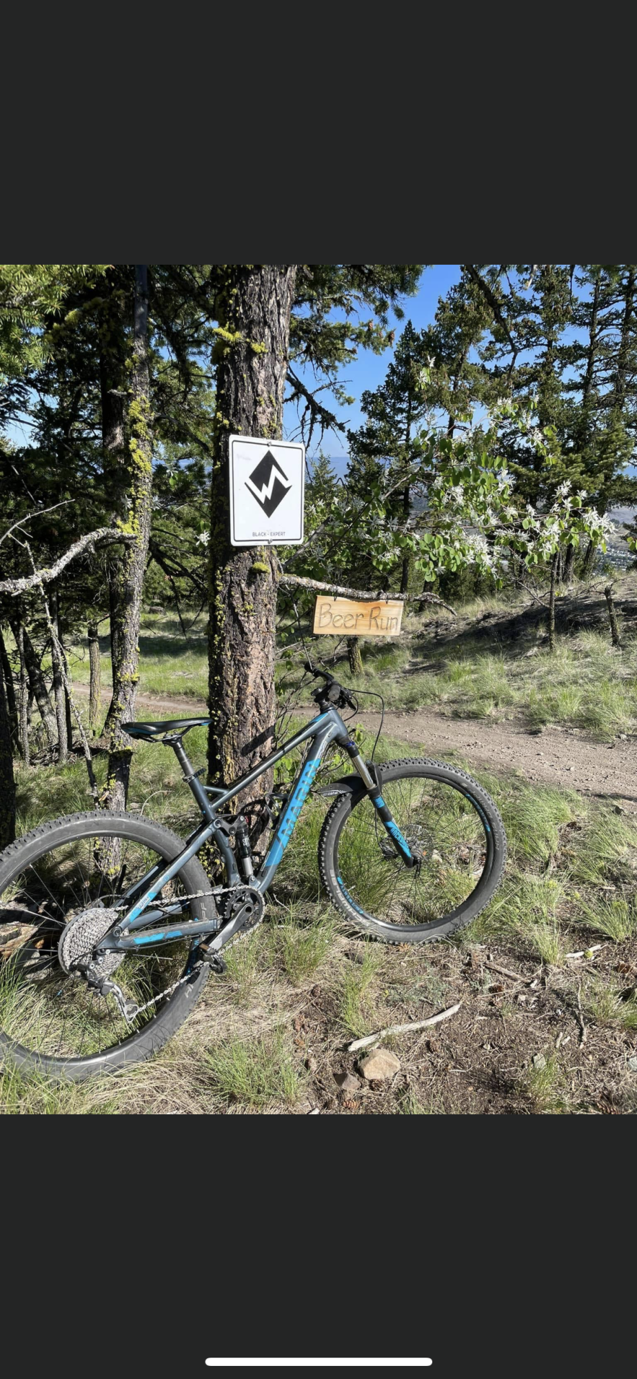 2019 Marin Bikes Hawk hill Blue