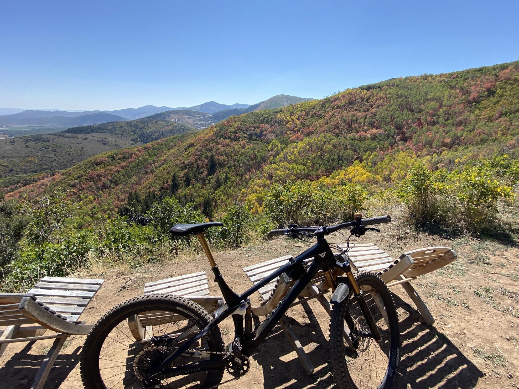 2020 YT Izzo Pro Race Black