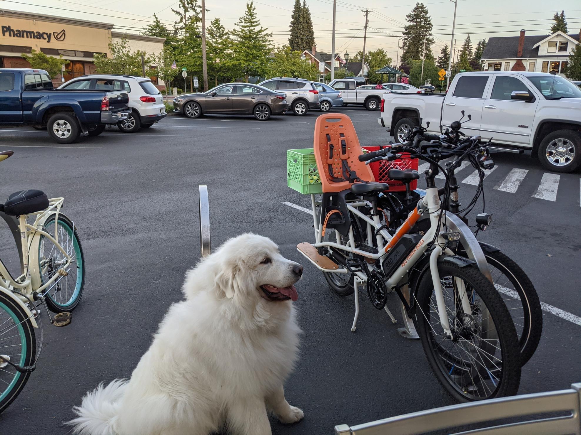 2020 Rad Power Bikes RadWagon cargo bike (rear storage) White