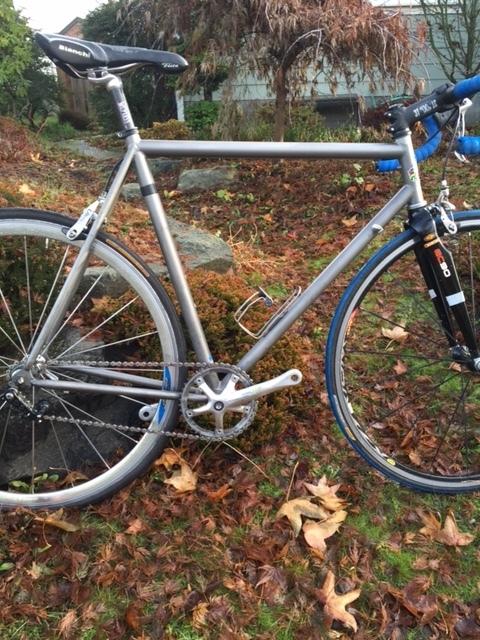 1997 Litespeed Catalyst Silver or Gray