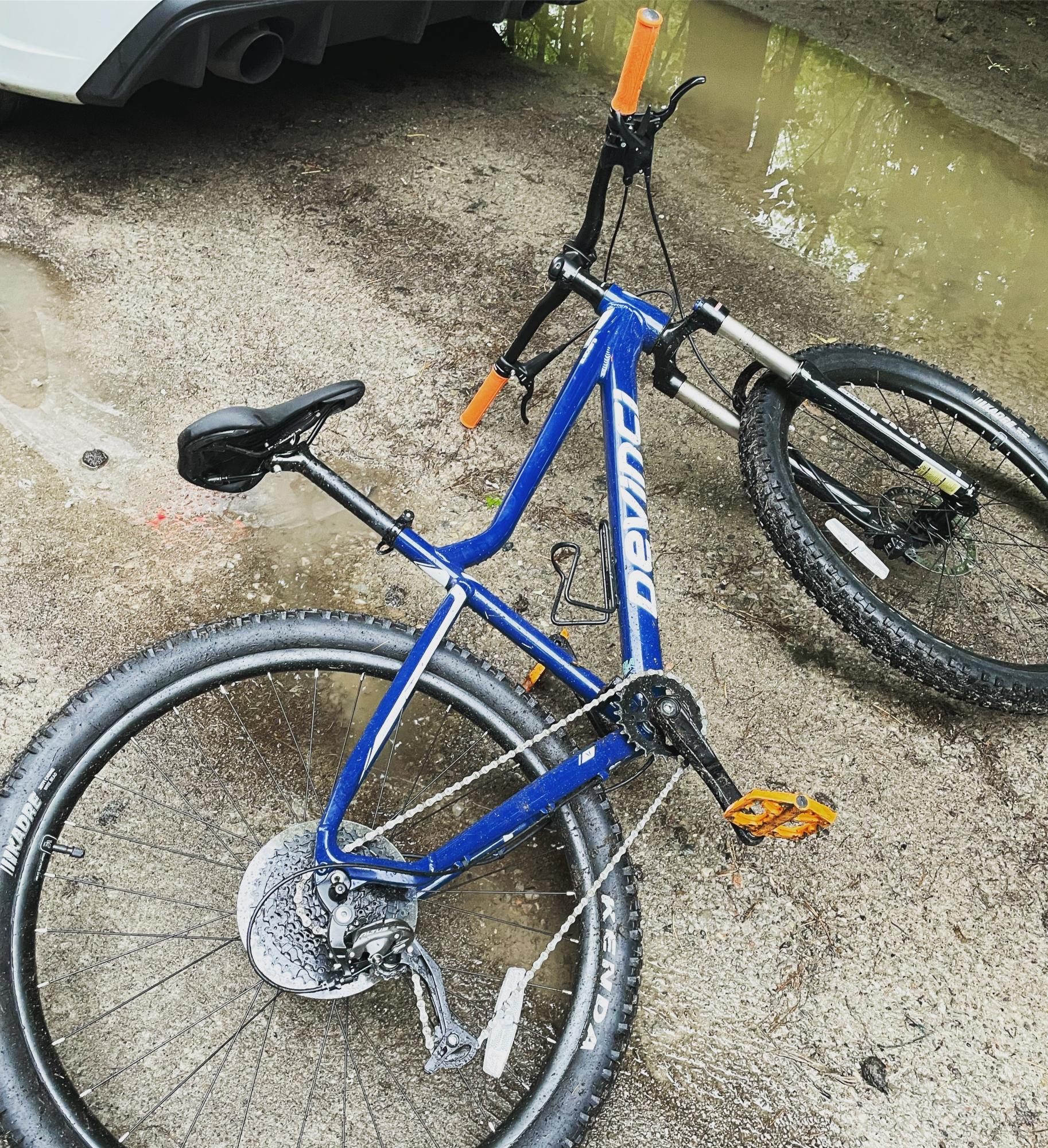 2021 Devinci Altus Blackbird 9s Blue