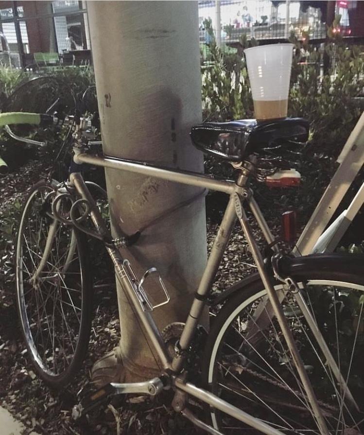 Raleigh Silver, gray or bare metal