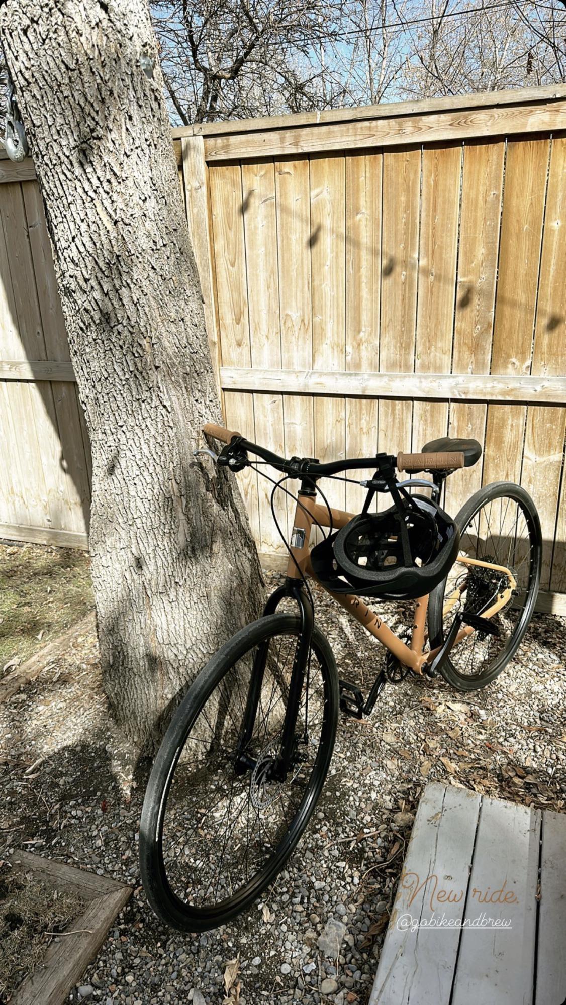 2023 Marin Bikes Kentfield 2 Brown and Black