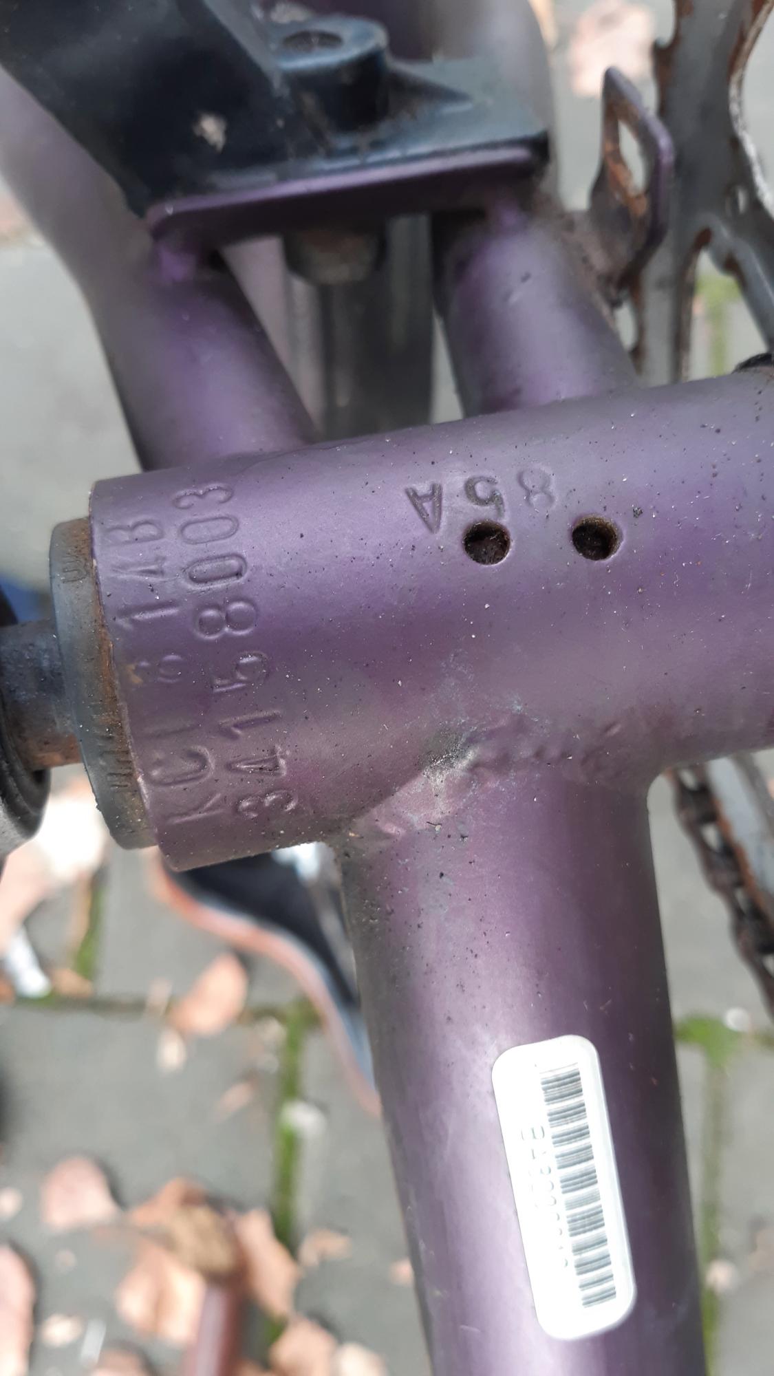 Batavus L2 Have Purple