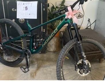 2021 Norco Bikes Optic C1 Green