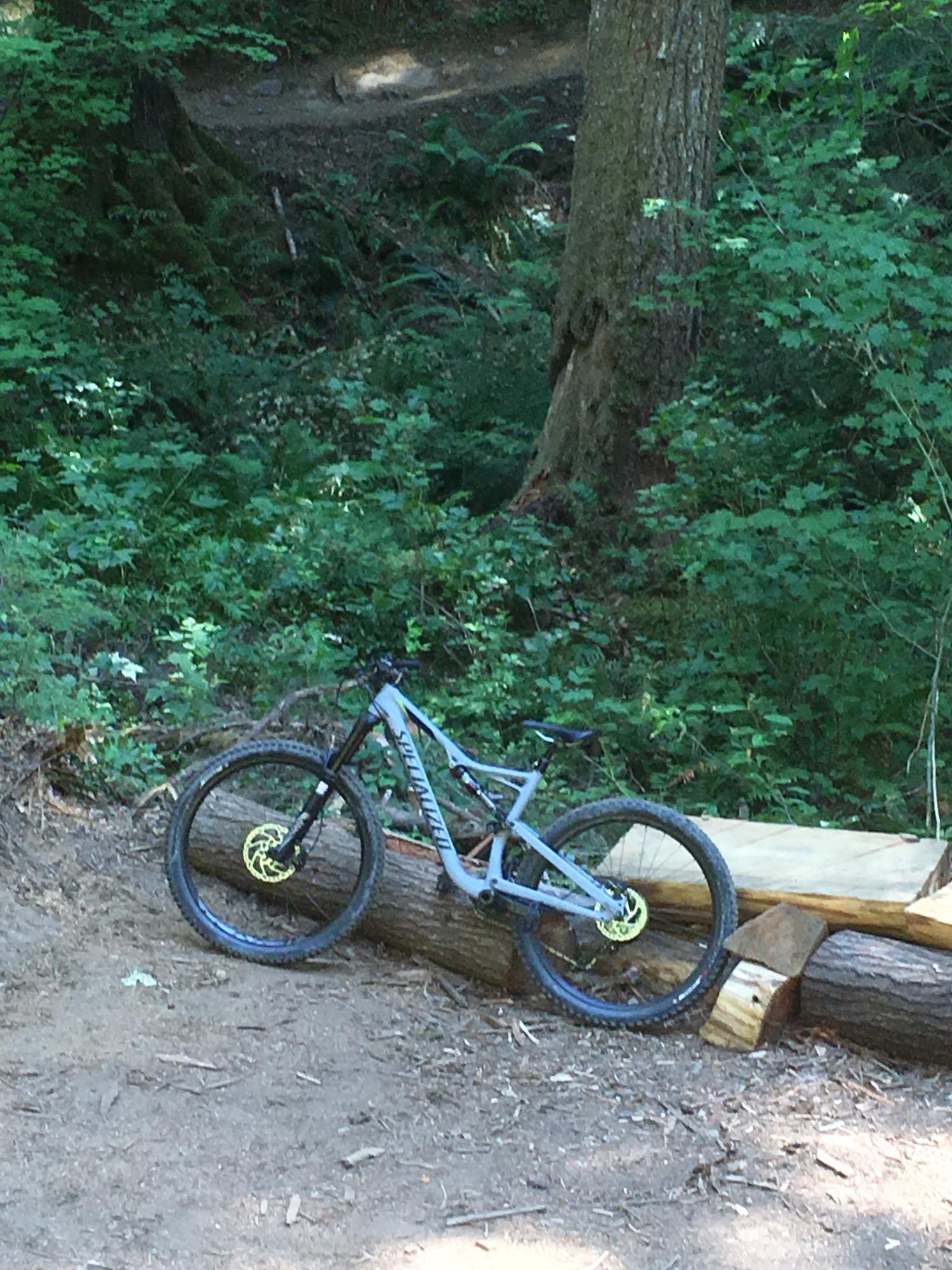 2016 Specialized Rhyme Silver or Gray