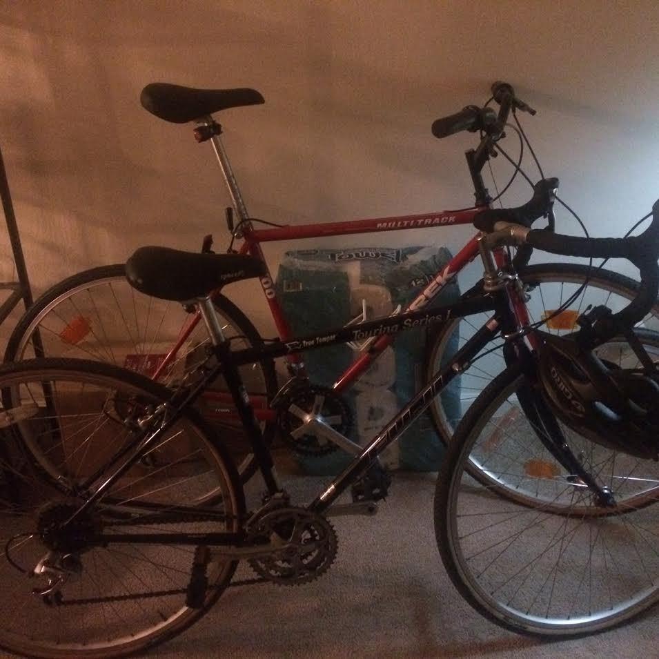 1995 Fuji Road Purple