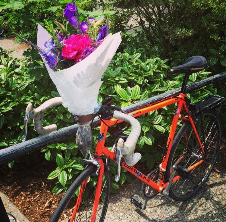 Diamondback Expert TG Orange