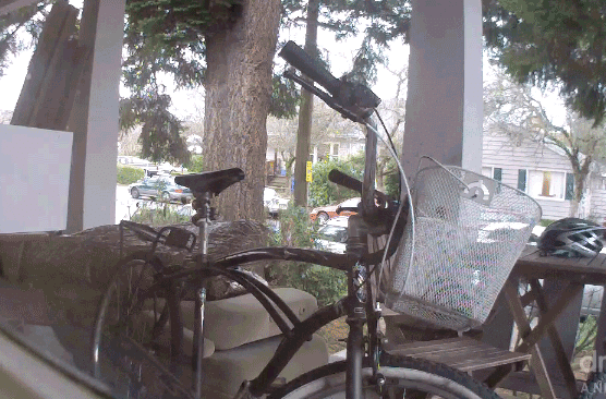 Phat Cycles  Black
