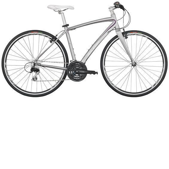 2013 Raleigh Alyssa FT1 Silver or Gray