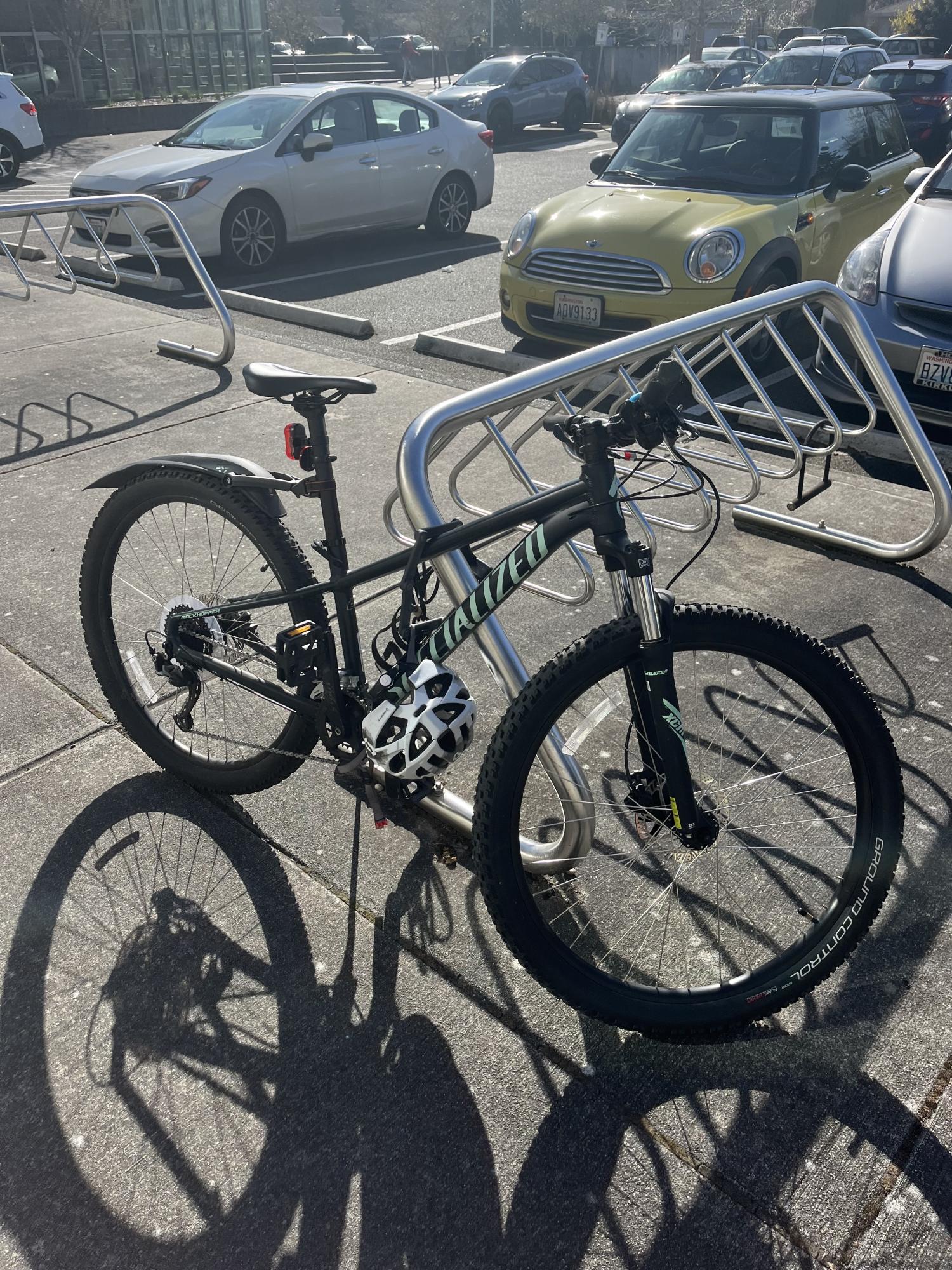 2020 Specialized rockhopper sport Green