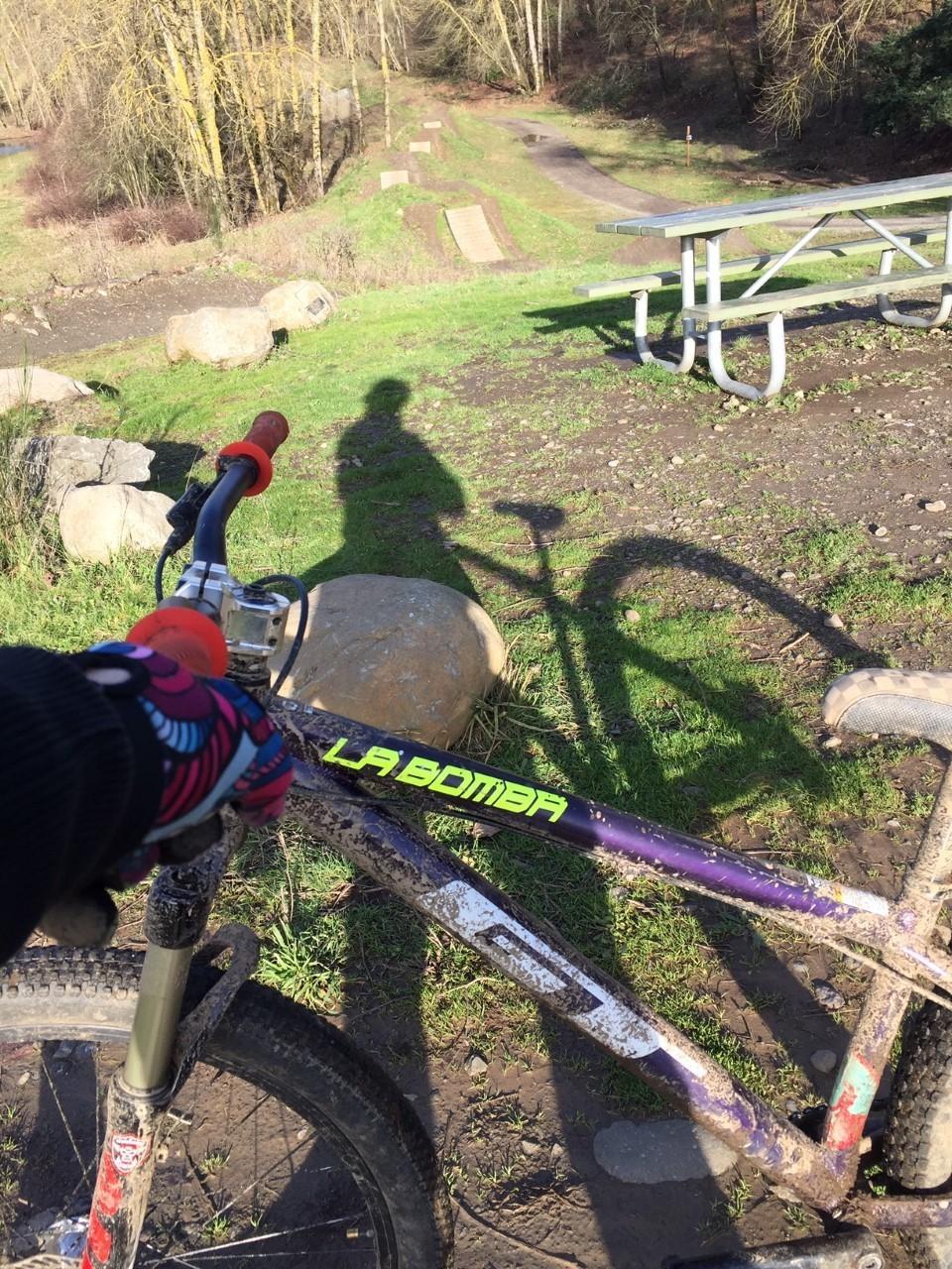 2019 GT Bicycles La Bomba Purple