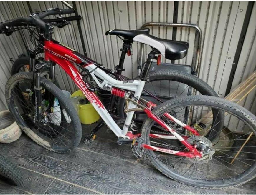 Schwinn Red and White