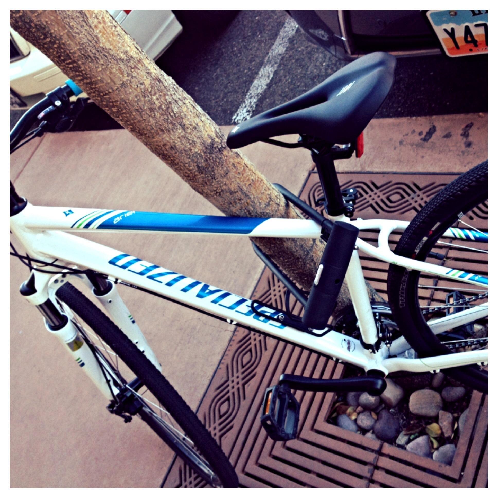2015 Specialized Ariel  White