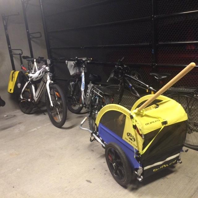 Burley SOLO Blue and Yellow or Gold