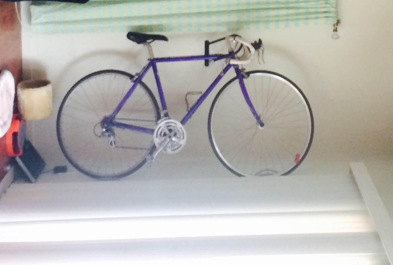 Performance Bike Shop Unknown Purple