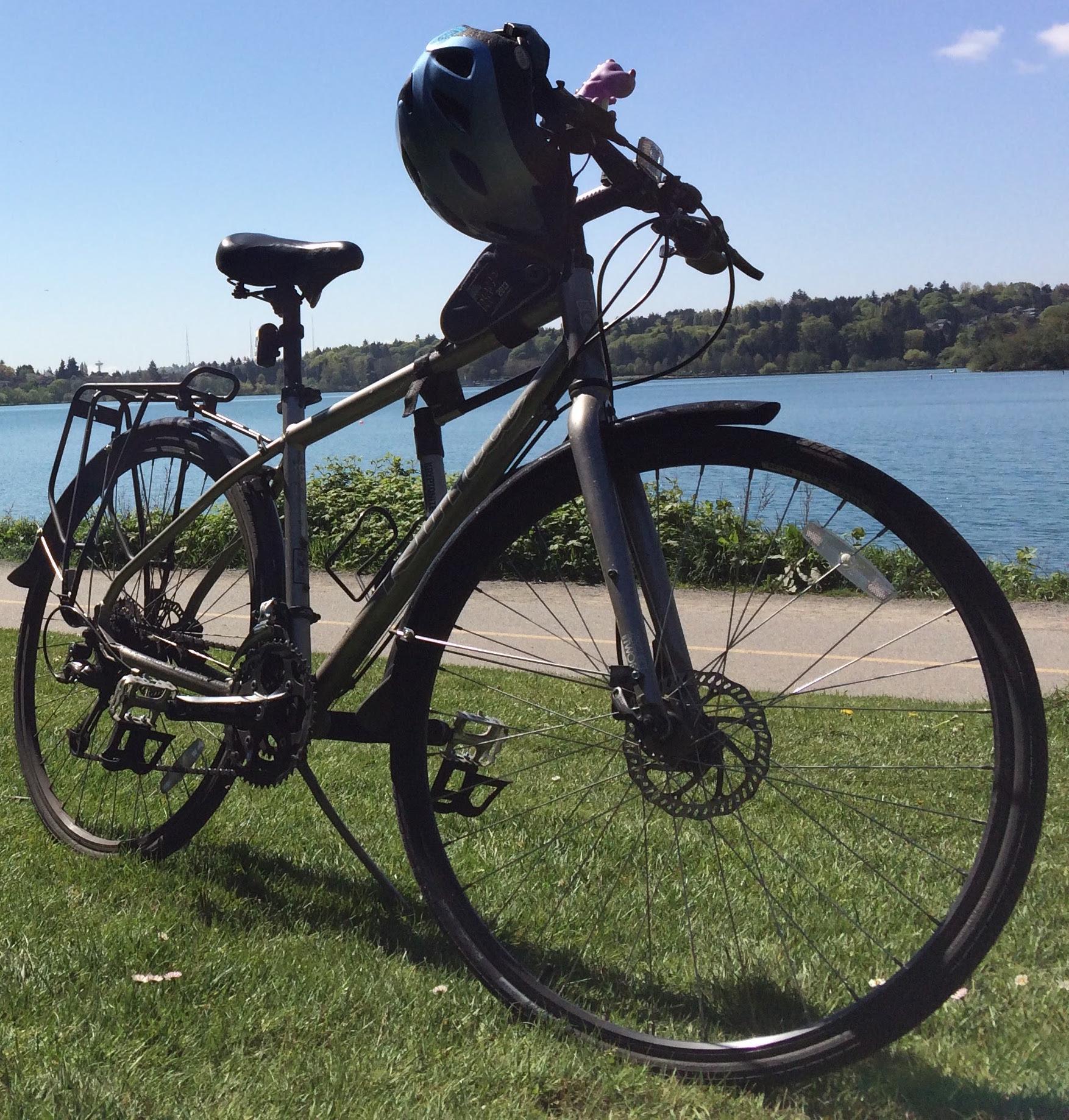 2013 Kona dew plus Silver or Gray
