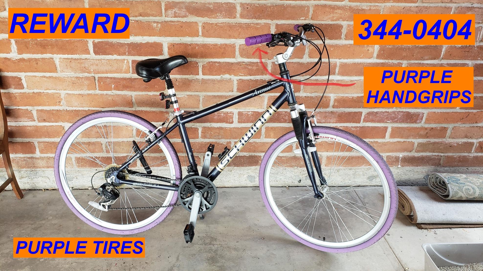 Schwinn Blue