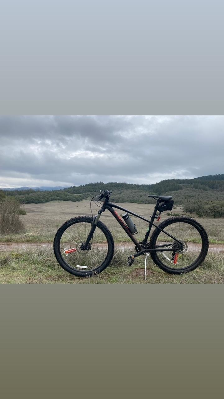 2019 Specialized Pitch Black
