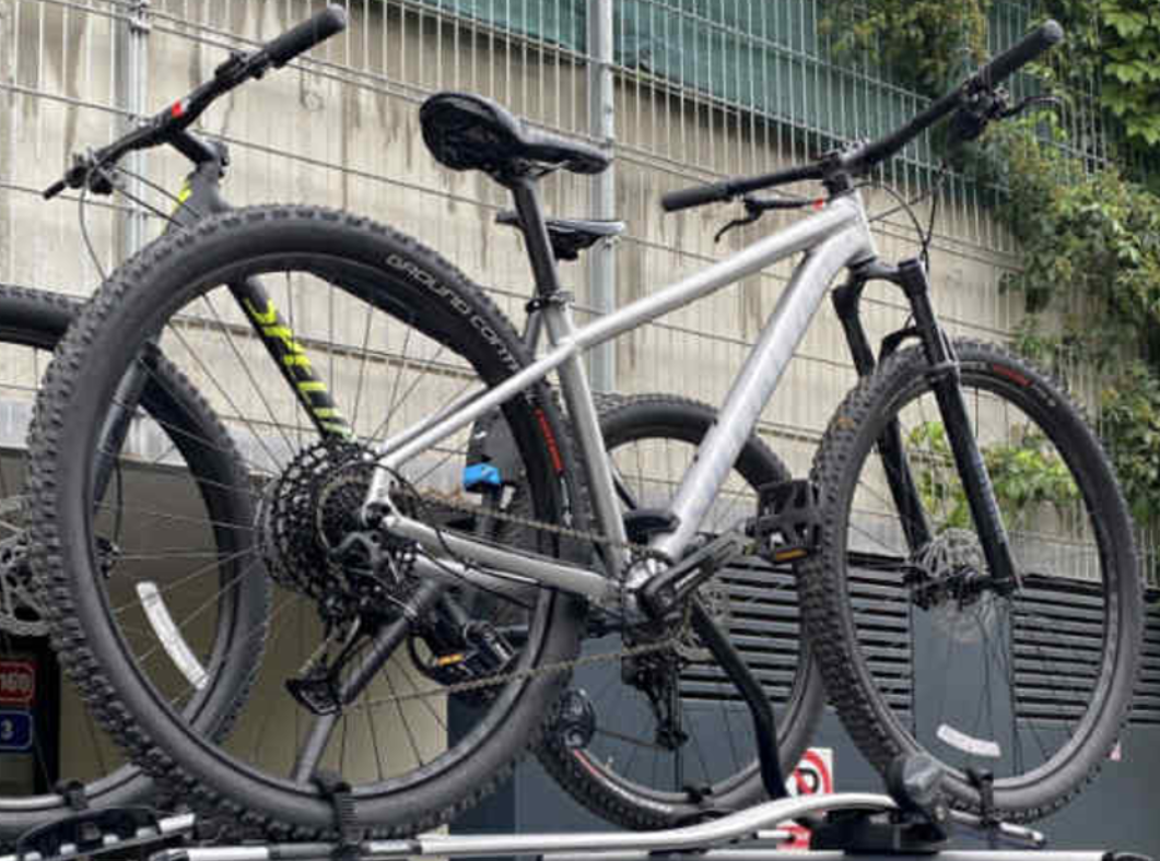 2020 Specialized Rockhopper expert Silver, gray or bare metal