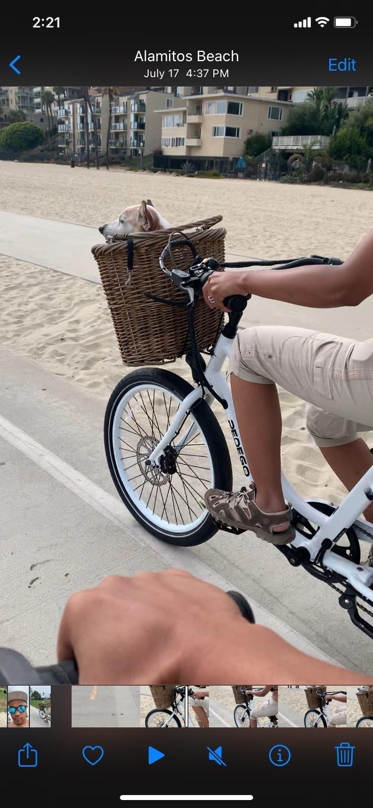 2022 Pedego Interceptor White